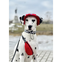 Панама для собак из вельвета HatDog, красная