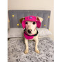 Панама для собак из вельвета HatDog, малиновая