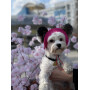 Панама для собак из вельвета HatDog, малиновая