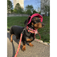 Панама для собак з вельвету HatDog, малинова