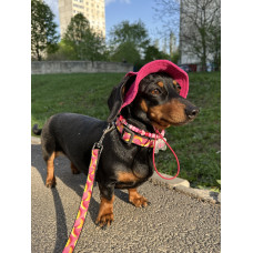 Панама для собак из вельвета HatDog, малиновая