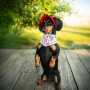 Бандана для собак HatDog Брендованая