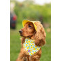 Панама для собак из льна HatDog, желтая