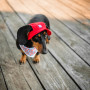 Панама для собак из льна HatDog, красная