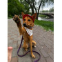 Панама для собак из льна HatDog, красная