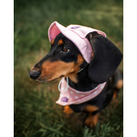 Панама для собак из льна HatDog, нежно-розовая