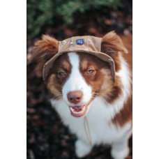 Панама для собак из льна HatDog Flora, бежевая
