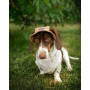 Панама для собак из льна HatDog Flora, бежевая
