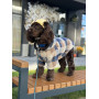 Шапка для собак HatDog, желтая