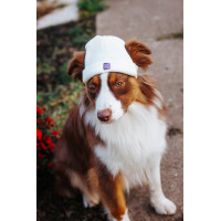 Шапка для собак HatDog, молочна