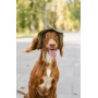 Панама для собак из коттона HatDog, хаки с патчем
