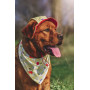 Бандана для собак HatDog Черри Бомб
