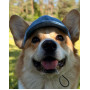 Бейсболка для собак из коттона HatDog Denim