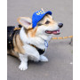 Бейсболка для собак из коттона HatDog USA California