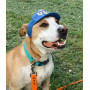 Бейсболка для собак из коттона HatDog USA California