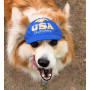 Бейсболка для собак из коттона HatDog USA California