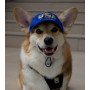 Бейсболка для собак из коттона HatDog USA California
