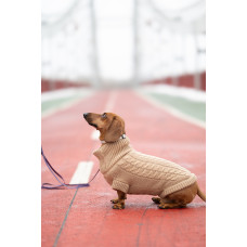 Свитер для собак Noble Pet Antony