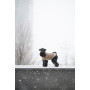 Свитер для собак Noble Pet Antony