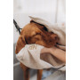Набор для ухода для собак Noble Pet Delmar (халат и полотенце)