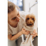 Набор для ухода для собак Noble Pet Delmar (халат и полотенце)