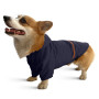 Дождевик для такс и корги Noble Pet Moss Blue, синий