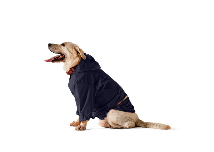Дощовик для собак Noble Pet Moss Blue, синій