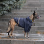 Дощовик для собак Noble Pet Moss Blue, синій