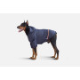 Дощовик для собак Noble Pet Moss Blue, синій