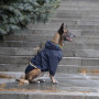 Дощовик для собак Noble Pet Moss Blue, синій