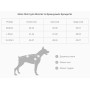 Дождевик для мопсов и французских бульдогов Noble Pet Moss Blue, синий