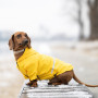 Дождевик для такс и корги Noble Pet Moss Yellow, желтый