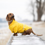 Дождевик для такс и корги Noble Pet Moss Yellow, желтый