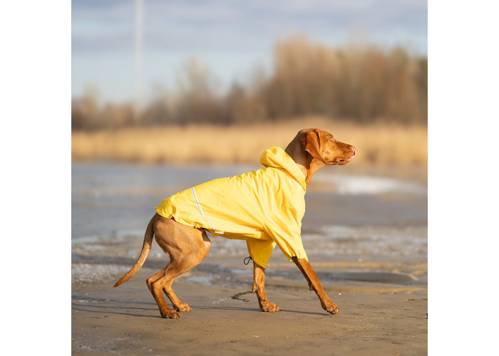 Дощовик для собак Noble Pet Moss Yellow, жовтий