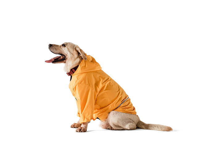 Дощовик для собак Noble Pet Moss Yellow, жовтий