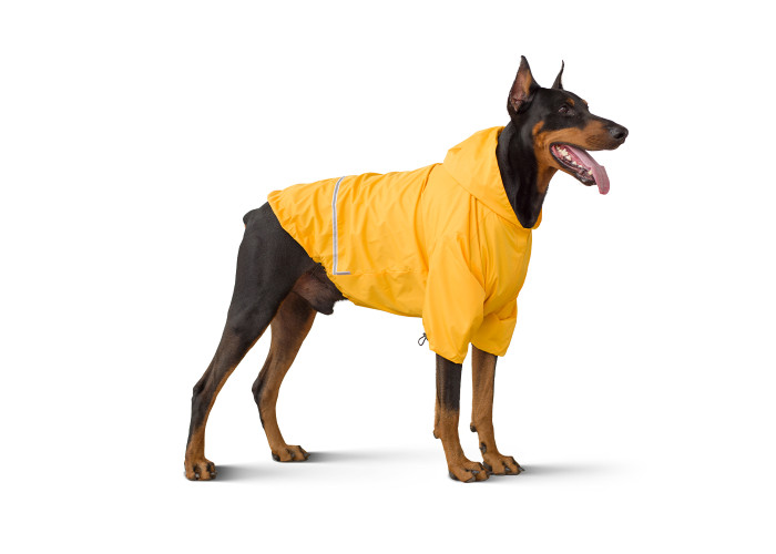 Дощовик для собак Noble Pet Moss Yellow, жовтий