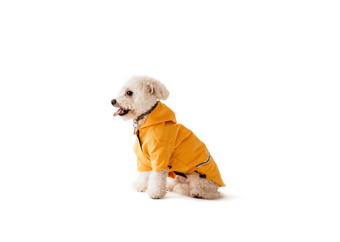 Дощовик для собак Noble Pet Moss Yellow, жовтий