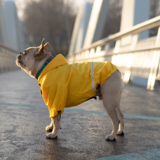 Дождевик для мопсов и французских бульдогов Noble Pet Moss Yellow, желтый