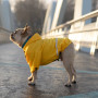 Дождевик для мопсов и французских бульдогов Noble Pet Moss Yellow, желтый
