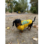 Дождевик для такс и корги Noble Pet Moss Bravery Yellow, желтый