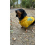 Дождевик для такс и корги Noble Pet Moss Bravery Yellow, желтый