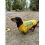 Дождевик для такс и корги Noble Pet Moss Bravery Yellow, желтый