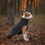 Softshell Жилет для собак Noble Pet Ostin Navy, чорний