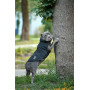 Softshell Жилет для собак Noble Pet Ostin Navy, чорний