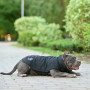 Softshell Жилет для собак Noble Pet Ostin Navy, чорний