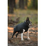 Softshell Жилет для собак Noble Pet Ostin Navy, чорний
