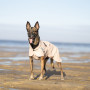 Дождевик для собак Noble Pet Rio Sand, песочный