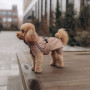 Дождевик для собак Noble Pet Rio Sand, песочный