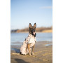 Дождевик для собак Noble Pet Rio Sand, песочный