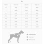 Дождевик для собак Noble Pet Rio Orange, оранжевый